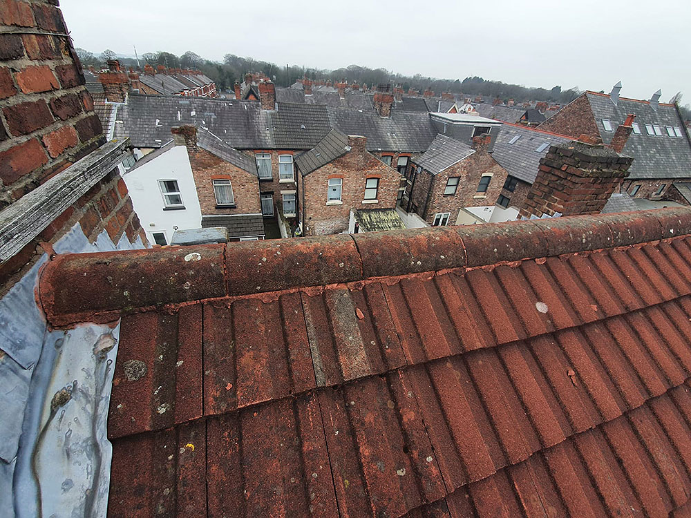 Stacks Image 1743