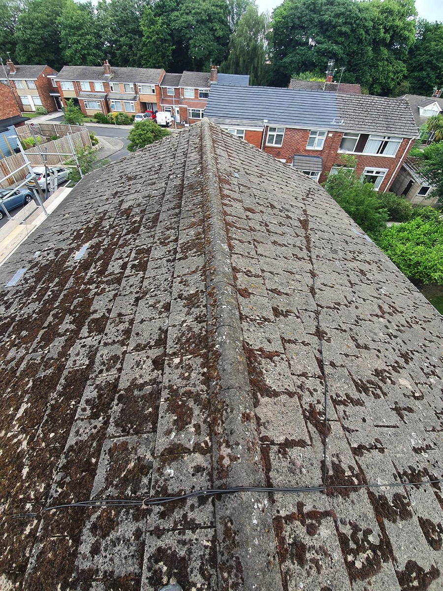 Stacks Image 1748