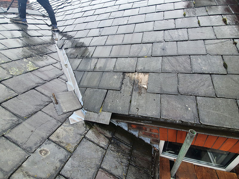 Stacks Image 1744