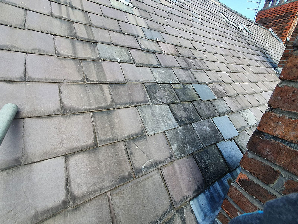 Stacks Image 1745